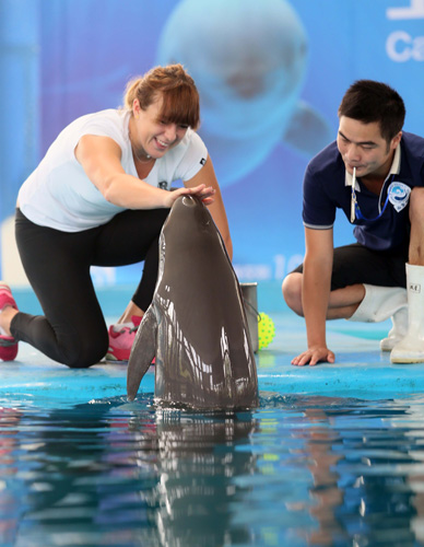 更是中国足 更是中国足